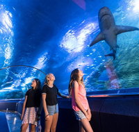Lunch and General Admission Entry at AQWA - Find Attractions