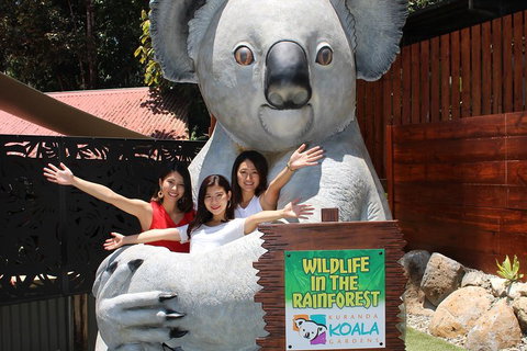 Kuranda Koala Gardens And Birdworld Admission Tickets - Find Attractions 3
