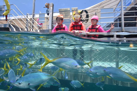 Outer Reef Pontoon Experience From Cairns - Find Attractions 0