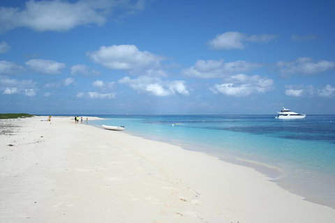Seastar Luxury Outer Great Barrier Reef Island And Reef Tour From Cairns - Find Attractions 3