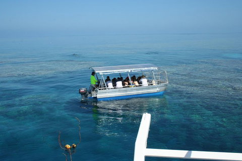 Seastar Luxury Outer Great Barrier Reef Island And Reef Tour From Cairns - Find Attractions 5