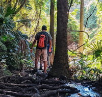Hike to the Figure Eight Pools - Find Attractions