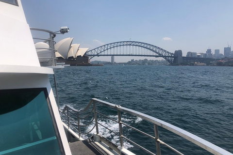 Sydney Harbour Discovery Cruise Including Lunch - Find Attractions 3