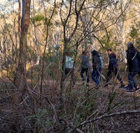 Wild Australian Wildlife 4WD Tour from Sydney - Find Attractions