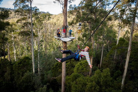 Hollybank Wilderness Adventure - Zipline Tours - Find Attractions 0