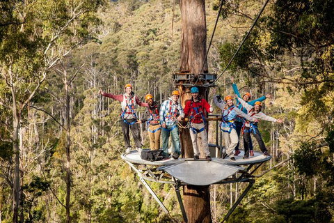 Hollybank Wilderness Adventure - Zipline Tours - Find Attractions 1