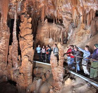 Blue Mountains Private Tour from Sydney with Jenolan Caves - Find Attractions
