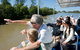 Lone Pine Koala Sanctuary Admission With Brisbane River Cruise - thumb 1