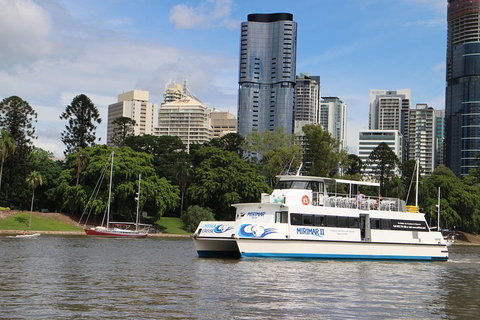 Lone Pine Koala Sanctuary Admission With Brisbane River Cruise - Find Attractions 2