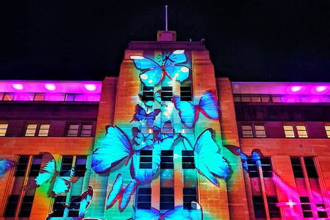 Vivid 90-Minute Sydney Harbour Small Group Catamaran Cruise - Find Attractions 0