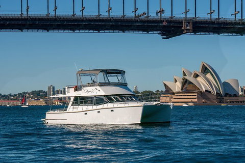 Vivid 90-Minute Sydney Harbour Small Group Catamaran Cruise - Find Attractions 2