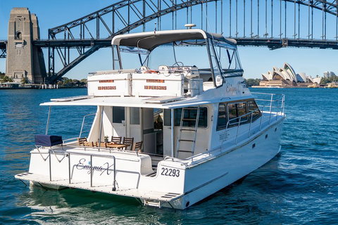 Vivid 90-Minute Sydney Harbour Small Group Catamaran Cruise - Find Attractions 4