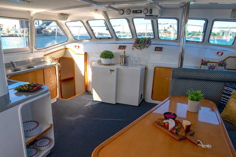 Vivid 90-Minute Sydney Harbour Small Group Catamaran Cruise - Find Attractions 5