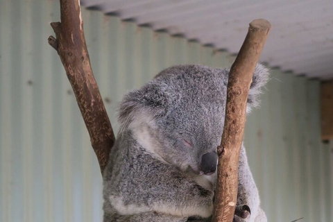 Featherdale Wildlife Park General Admission - Find Attractions 3