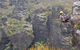 Half-Day Abseiling Adventure In Blue Mountains National Park - thumb 4
