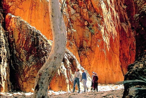 West MacDonnell Ranges Day Trip From Alice Springs - Find Attractions 3