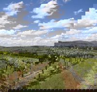 Hunter Valley Wine Tour from Sydney incl Lunch Cheese Chocolate and Distillery - Find Attractions