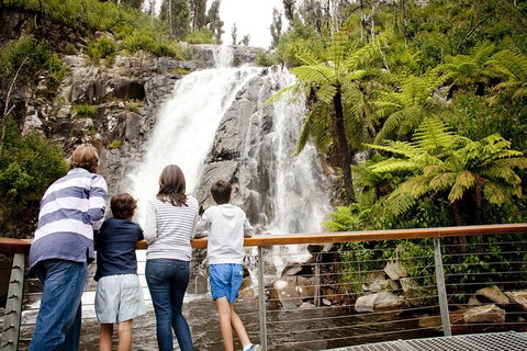 Lake Mountain Snow Trip Including Yarra Valley Chocolaterie From Melbourne - Find Attractions 0