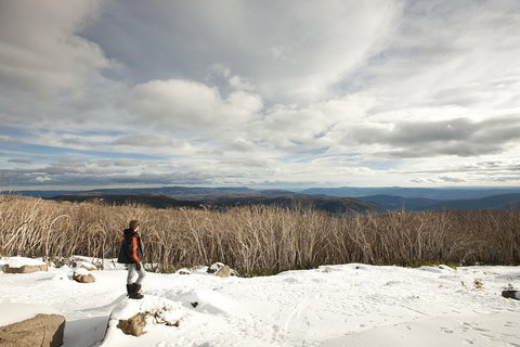 Lake Mountain Snow Trip Including Yarra Valley Chocolaterie From Melbourne - Find Attractions 5