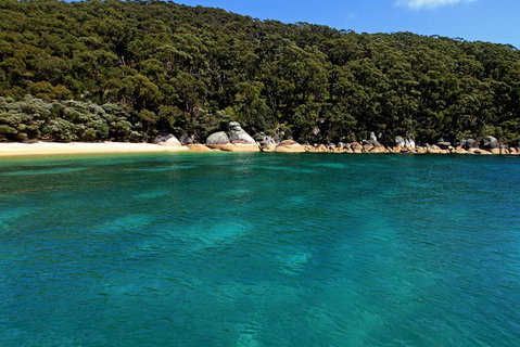 Wilsons Promontory Full Day Cruise - Find Attractions 4