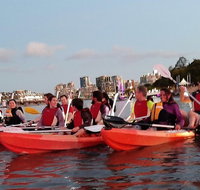 Brisbane River Guided Evening Tour by Kayak - Our Most Popular Tour - Find Attractions