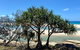 Full-Day Small Group Tour To North Stradbroke Island - thumb 5