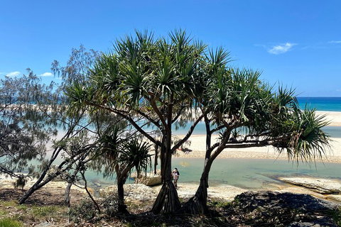 Full-Day Small Group Tour To North Stradbroke Island - Find Attractions 5
