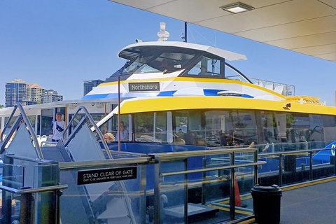 Brisbane City Essentials Walking Tour - Find Attractions 3