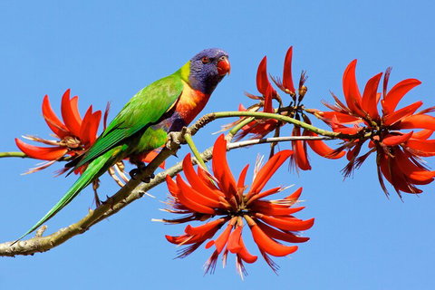 Half Day Perth & Fremantle Highlights - Find Attractions 2