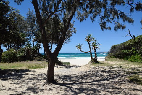 Brisbane Like A Local Customized Private Tour - Find Attractions 3