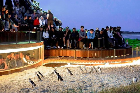 Great Ocean Road & Phillip Island - 3 Days, 2 Nights - Find Attractions 0