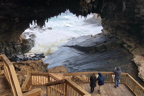 Kangaroo Island 4WD Tour - Best Of KI - Find Attractions 1