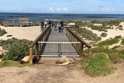 Kangaroo Island 4WD Tour - Best Of KI - Find Attractions 2