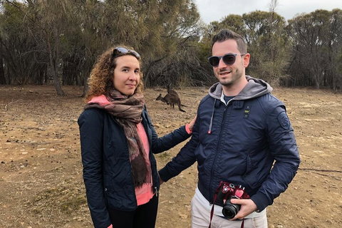 Kangaroo Island 4WD Tour - Best Of KI - Find Attractions 3
