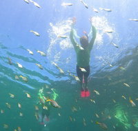 Manly Snorkel Trip and Nature Walk with Local Guide - Find Attractions
